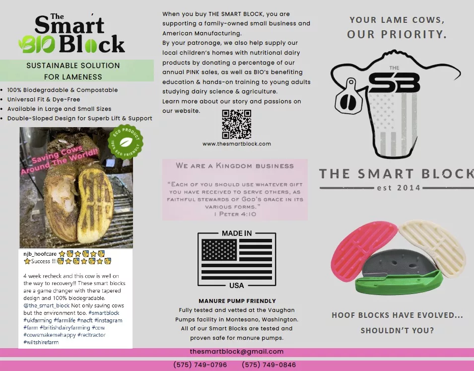 BROCHURE BROCHURE NEWEST AUG 30 2025.jpg